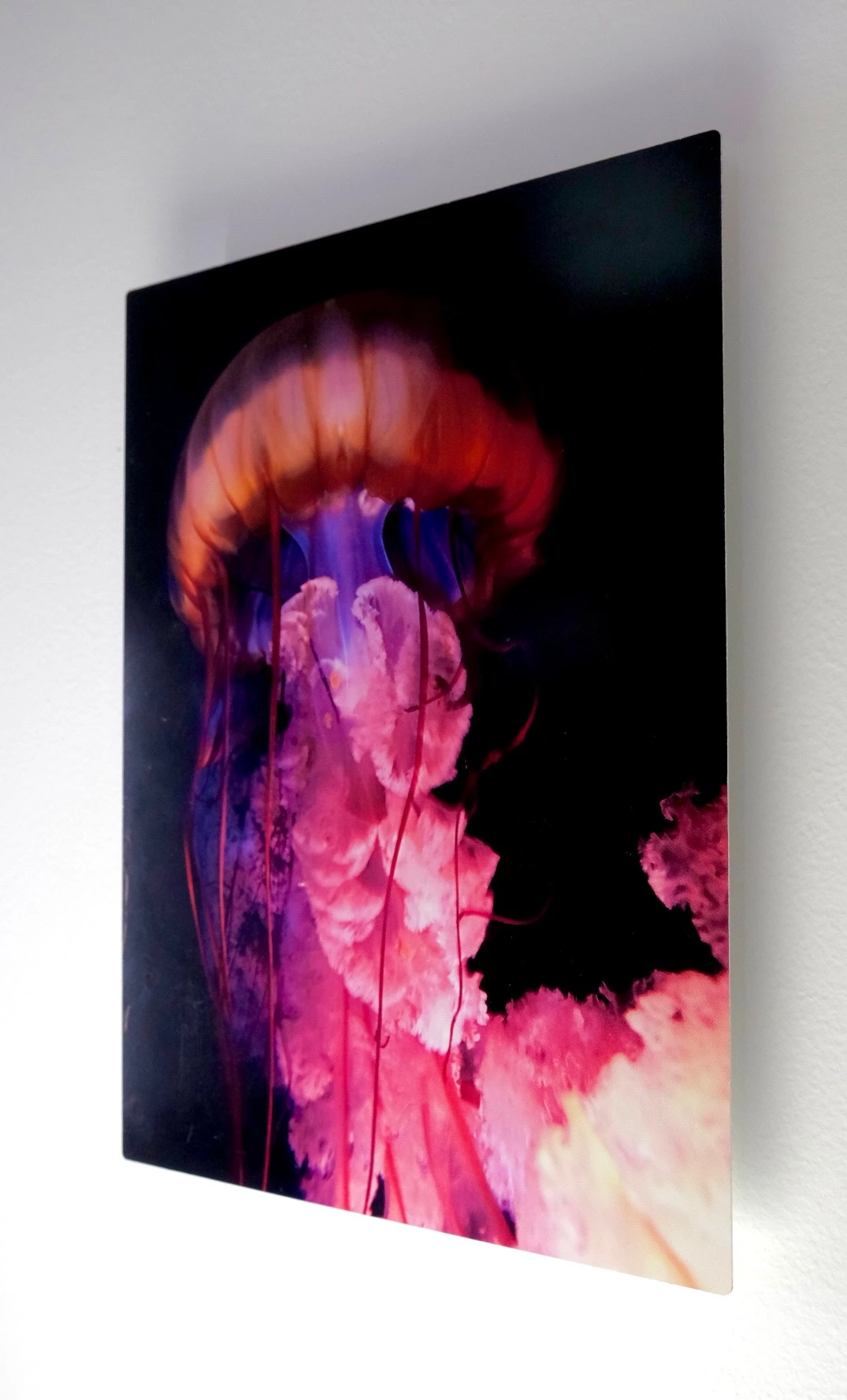 Art Prints, Fine Art Photography Printing | The Icon